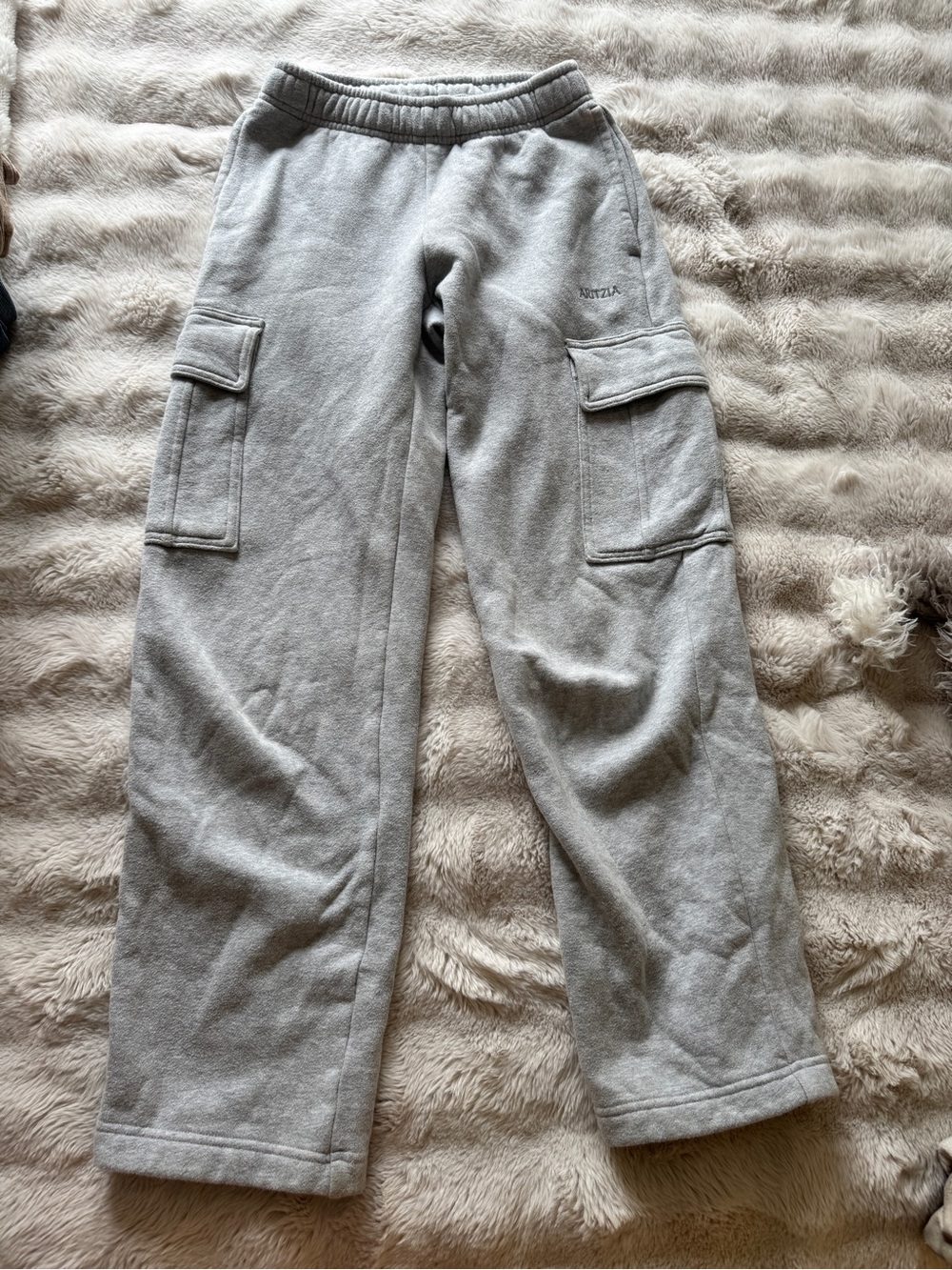 Aritzia  Light Gray Cargo Sweatpants